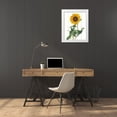 thumbnail image 3 of Schlabach, Sue 26x32 White Modern Wood Framed Museum Art Print Titled - Cottage Sunflower, 3 of 4