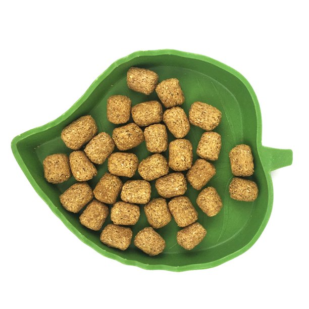 Cuenco de agua para comida de reptil Plato de cuenco de agua para comida de tortuga, verde, 12*9,5*1,2 cm