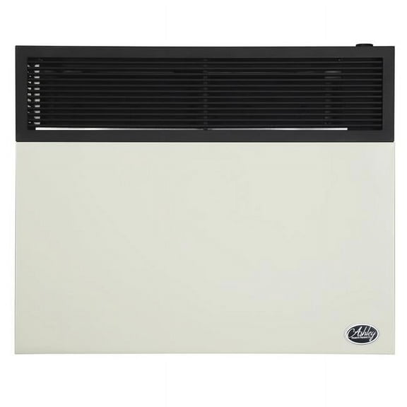 Ashley Hearth Products  25,000 BTU Direct Vent Propane Heater