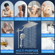 Doulami Shower Head, 8 inch Rain Showerhead, 10 Stage Shower Filtered , 10 Spray Setting, 3 Mode, 2 in 1 Combo