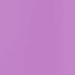Light Purple Jazzy