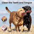 thumbnail image 4 of 2025 Latest Model Indestructible Dog Toy for Aggressive Chewers, Extreme Tough, 4 of 5