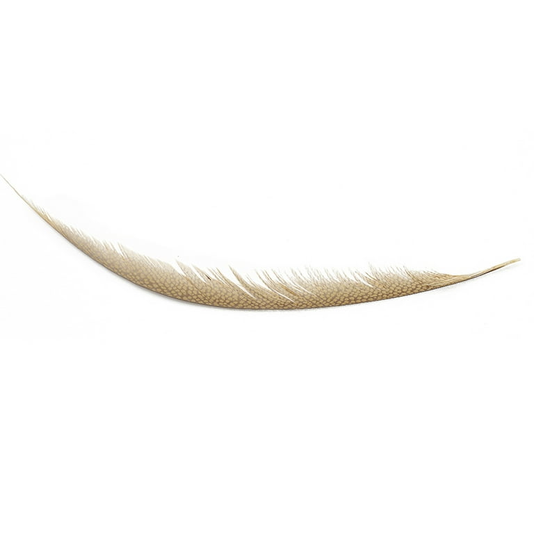 150 pcs Natural Color Pheasant Feathers Assorted Length Arts & Craft D –  Alazco