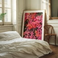 thumbnail image 6 of California Blooms - Los Angeles California Photography Floral Flowers Botanical Nature Tropical Scenic Pastel Unframed Wall Art Print 40 x 60 inches, 6 of 81