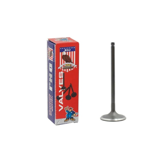 DNJ IV729 Intake Valve Fits Cars & Trucks 08-15 Subaru Legacy Outback 3.6L H6 DOHC 24v