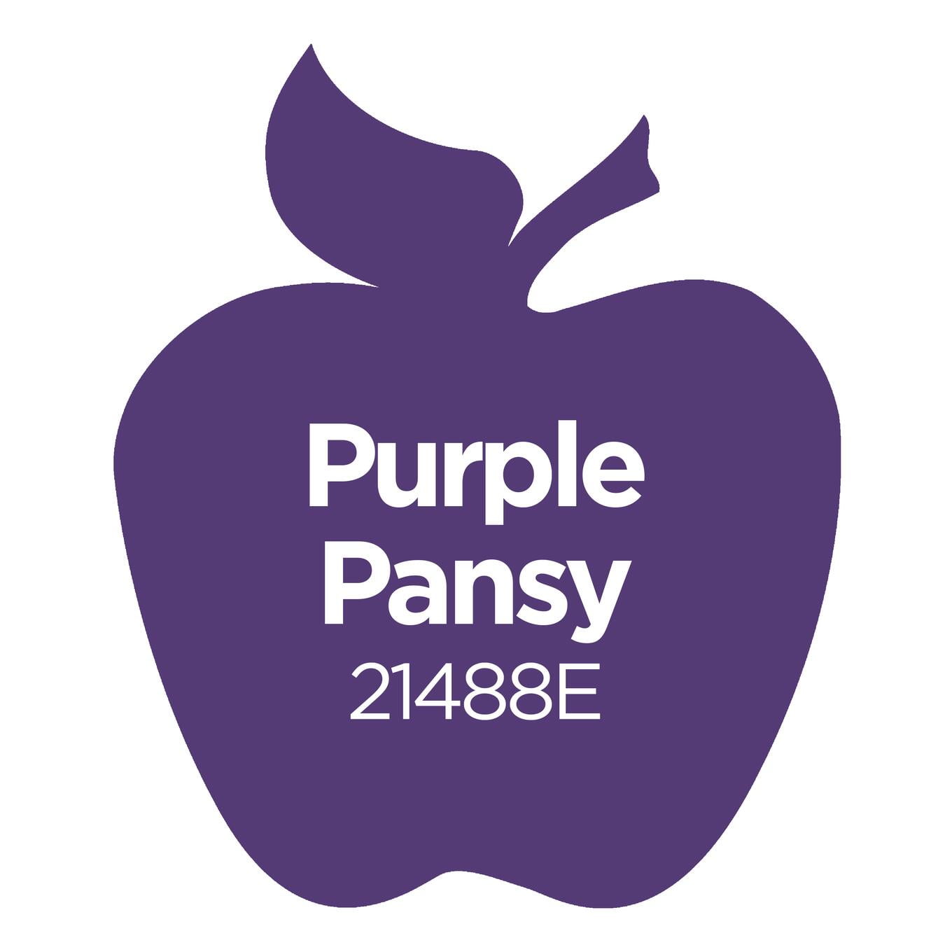 (2 pack) Apple Barrel Acrylic Craft Paint, Matte Finish, Purple Pansy, 2 fl oz