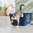 thumbnail image 1 of Frisco High Sided Cat Litter Box, Navy, Extra Large 24-in, 1 of 3