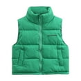 thumbnail image 2 of UQJfacai Boys Puffer Vest Kids Stand Collar Zip Up Quilted Jackets Sleeveless Winter Coat Warm Padded Outerwear with Pockets 3-15 Years, 2 of 3