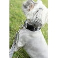 thumbnail image 2 of Country Brook Petz® Leopard Print Everyday Dog Collar and Leash, Extra Small, 2 of 7