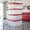 Clear and Red, variant on SENYUM Upgrade Gallon Heavy Duty Storage Bins with Snap Lids, Durable Plastic Storage Totes with Stackable Containers & Latching Covers for Home Garage Moving Organization