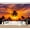 Color 1, variant on Wall Mural Golden Sand Dunes desert Large Peel and Stick Wallpaper under Warm Desert Sunlight Removable Self-Adhesive Vinyl Wall Decor for Living Room Bedroom Kids Room 100"x144"
