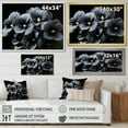 thumbnail image 4 of Designart "Emerging Black Pansies From The Shadows" Pansies Floater Framed Canvas Prints, 4 of 5