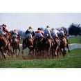 thumbnail image 2 of Horse Racing; Rear View Of Horses Racing Poster Print, 2 of 2