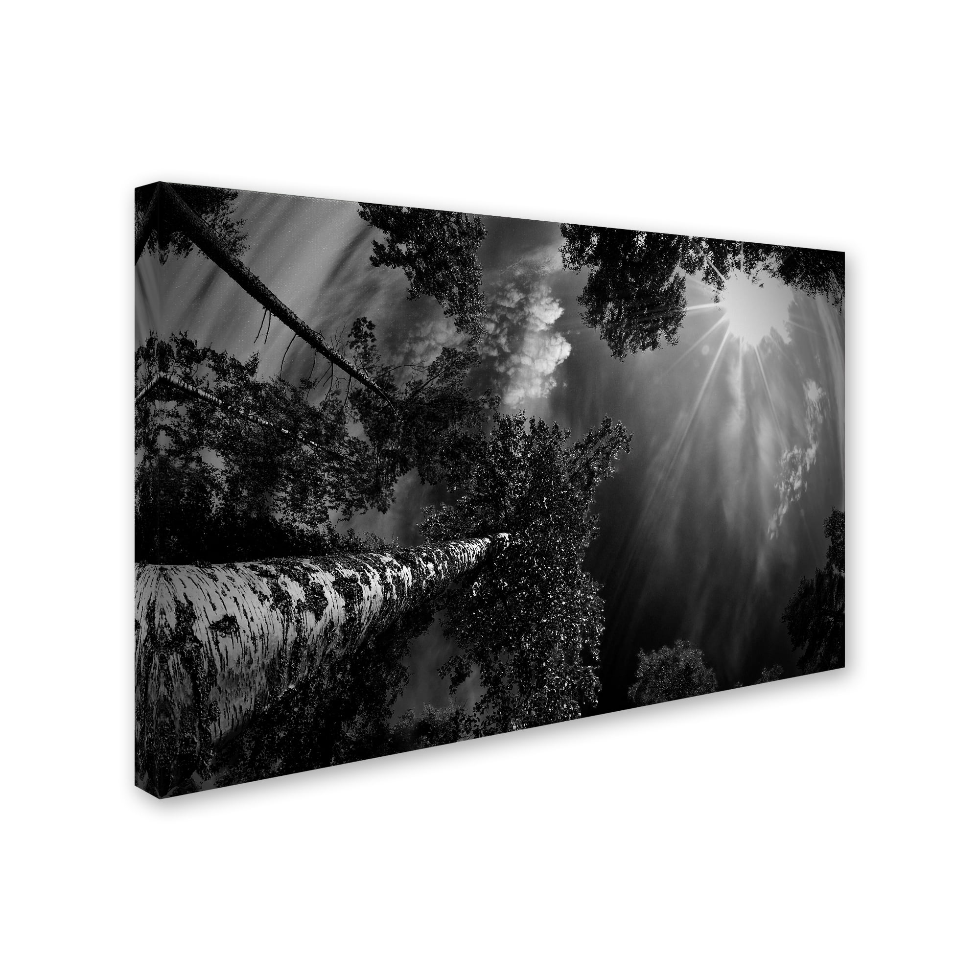 Mikael Jigmo 'Dreaming Before The Thunder' Canvas Art