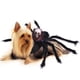 thumbnail image 1 of De Halloween Ajustable Mascota Halloween Pecho Espalda Simulación Araña Transformación Disfraz Vogacara HA044312-02, 1 of 6