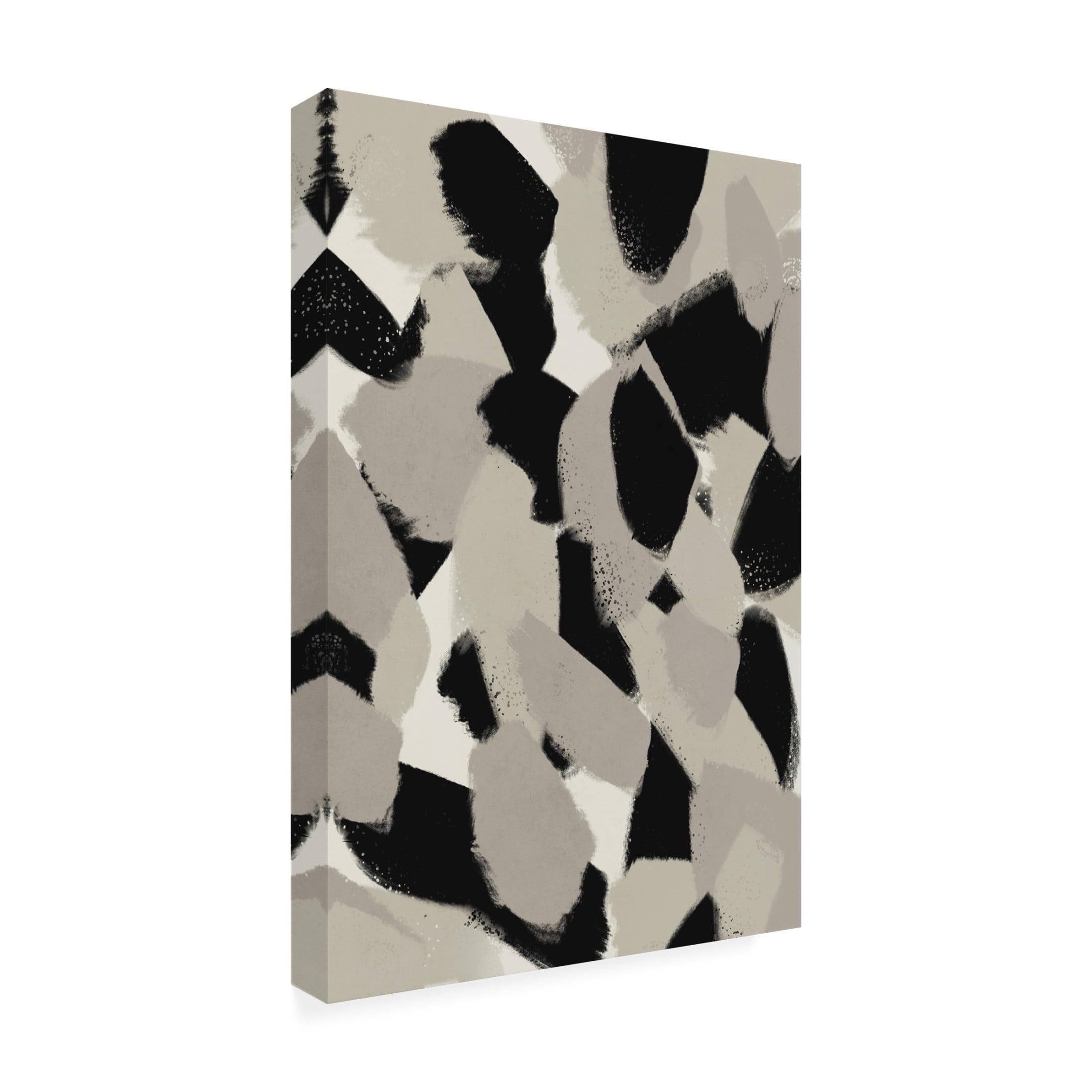 Canvas Wall Art - Treechild 'Big Stony Pattern' Wall Art for Living Room, Bedroom, or Office D?cor by Trademark Fine Art - 30 x 47 Inches