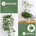 thumbnail image 4 of 100 Plant Clips (green) For Climbing Plants, Plant Wall Fixing Clips, Self-adhesive Invisible Wall Vine Fixing Device, Adhesive Plant Hooks For Indoor, 4 of 4