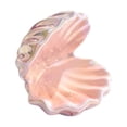 thumbnail image 1 of Plato de cerámica para joyería, soporte para joyas, regalo para mujer, cuenco para llaves con forma de concha, estuche para joyas Rosa, 1 of 9