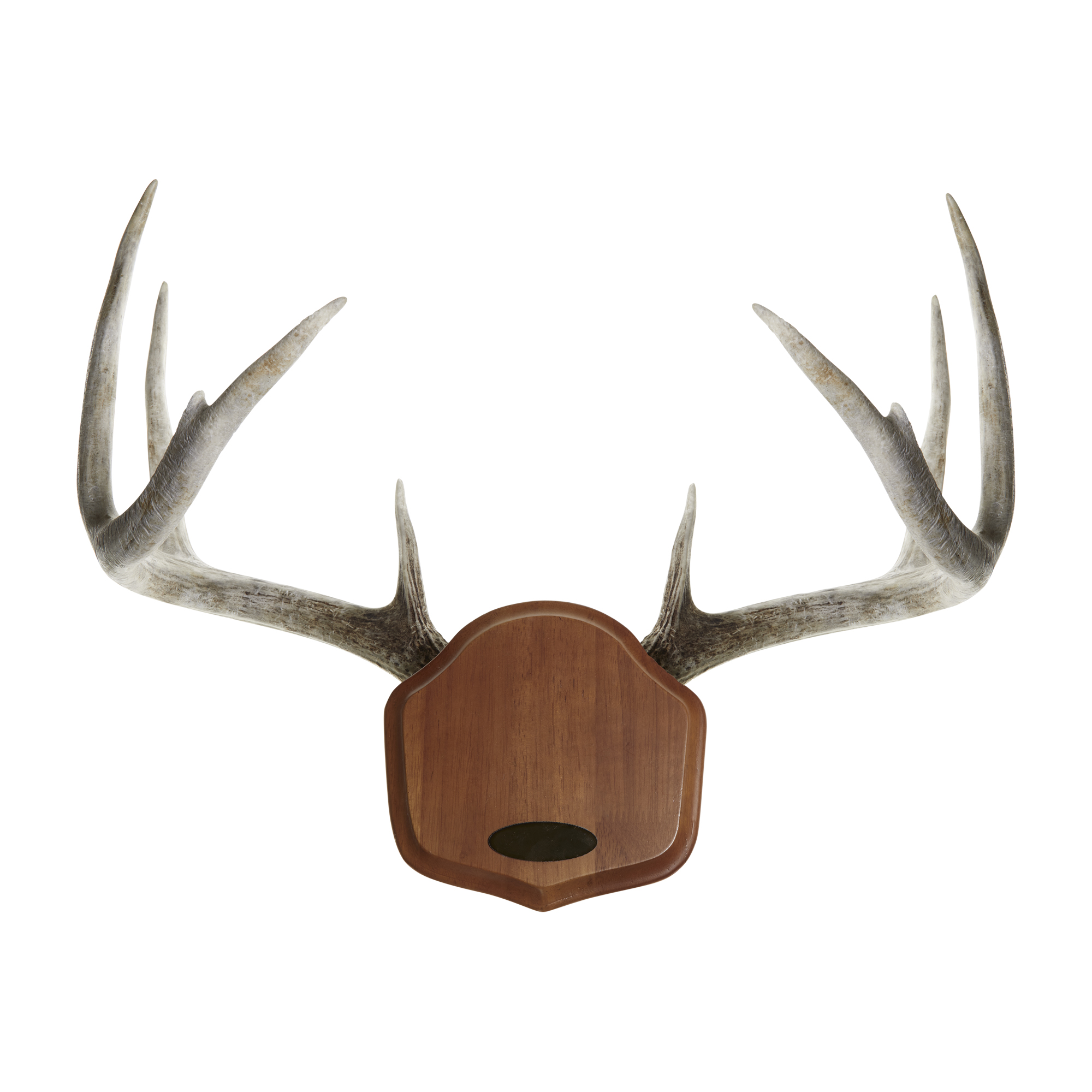 Allen Company Hardwood Horn Mounting Kit, Plaque with Steel Frame