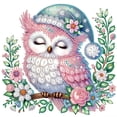 thumbnail image 4 of 5D DIY Diamond Painting Kit Christmas Owl Colorful Crystal Diamond Painting Handmade Art Craft Includes Tools, Suitable for Beginners and Adults Home Wall Decor Holiday Gift, 4 of 6
