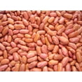 thumbnail image 1 of Light Red Kidney Beans, 1 of 1
