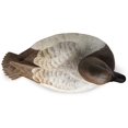 thumbnail image 6 of DOA Canvasback Duck Decoy Foam Filled 6 Pack, 6 of 6