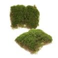 thumbnail image 6 of TEHAUX 2pcs Artificial Garden Grass Fairy Fake Grass Lawn for Crafts Simulated Turf DIY Decoration, 6 of 8