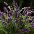 thumbnail image 5 of Enova Home Artificial Lavender Flower in Ceramic Pot for Home Office Wedding Party Decoration, 5 of 5