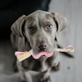 thumbnail image 5 of Durable Interactive Dog Chew Toy for Aggressive Chewers Long Lasting Bone Design Promotes Health and Playful Engagement for All Sized Dogs, 5 of 5