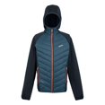 thumbnail image 1 of Regatta Veste Hybride Andreson VIII pour Hommes, 1 of 4