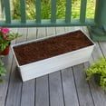 thumbnail image 3 of Bloom Box Garden Growing Kit, Medium White with Odette Stand, 3 of 4