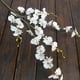 Fleur d'Orchidée Artificielle Réaliste Fausse Fleur pour les Décorations de la Maison – image 1 sur 3