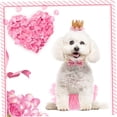 thumbnail image 3 of unbranded Vestido Para Perro Con Falda De Gasa Rosa Y Para Exteriores, 3 of 8