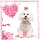 thumbnail image 3 of unbranded Vestido Para Perro Con Falda De Gasa Rosa Y Para Exteriores, 3 of 8
