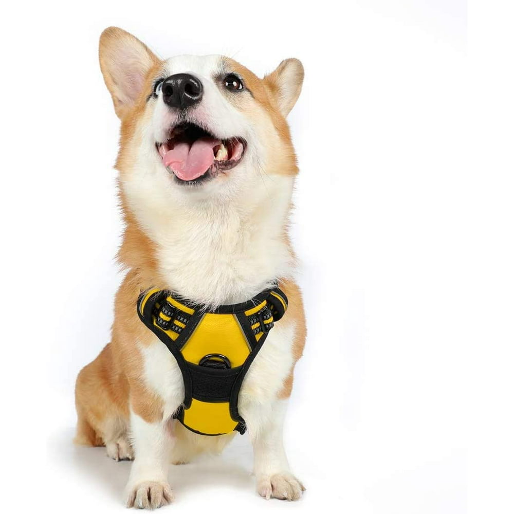 Rabbitgoo Dog Harness NoPull Adjustable Safe Comfort Pet Vest Easy
