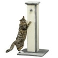 thumbnail image 1 of PawHut 32" Cat Scratching Post for Indoor Cats w/ Sisal Teasing Ball Grey, 1 of 9