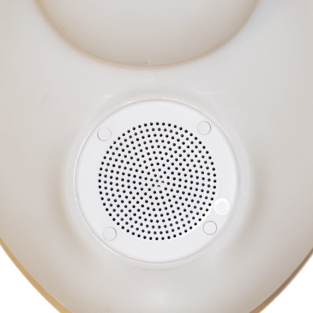 floating duck bluetooth speaker