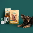thumbnail image 6 of Jinx & Chris Evans Dog Dream Box, 6 of 15