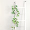 thumbnail image 2 of Baohd Artificial Plant Leaf Vine Simulation Leaf Garland Wedding Party Greenery Silk Cloth Plant Rattan, 2 of 9