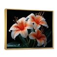 thumbnail image 2 of Designart "Birds Of Paradise landscape III" Floral Floater Framed Wall Decor, 2 of 7
