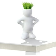 WREESH Mini Bonsai Head Grass Hair White Ceramic Plant Garden,Tree Doll Grass Pot