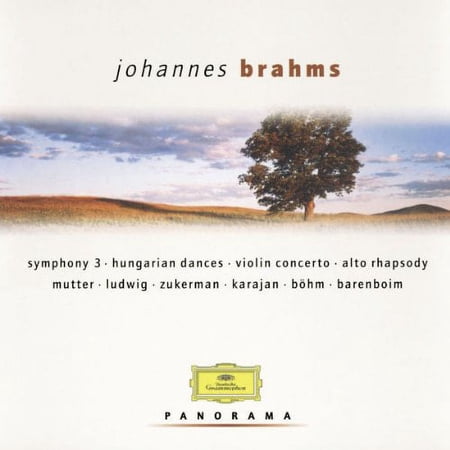 Panorama: Johannes Brahms