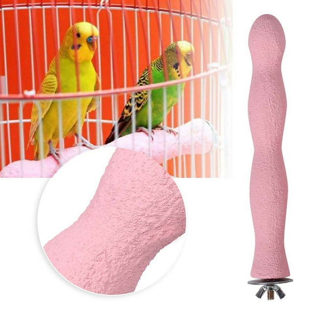 Help Birds Exercise Predation Ability, Cage Accessories Toy, Toy, Bird Standing Stick For Pet