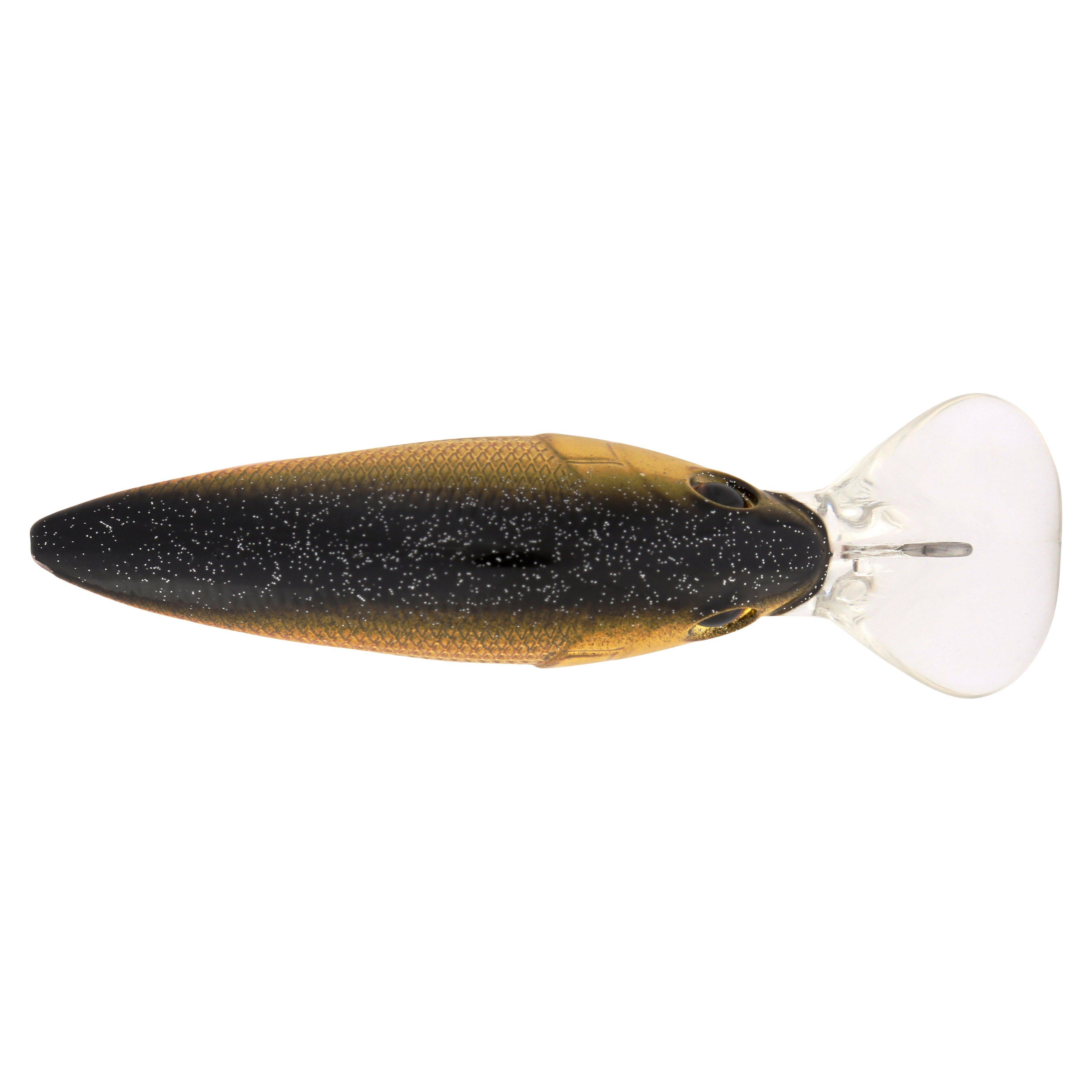 Berkley Money Badger, 4, Black Gold