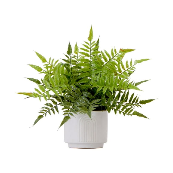 Nearly Natural 13in. Artificial Boston Fern Plant with Decorative Planter , Green