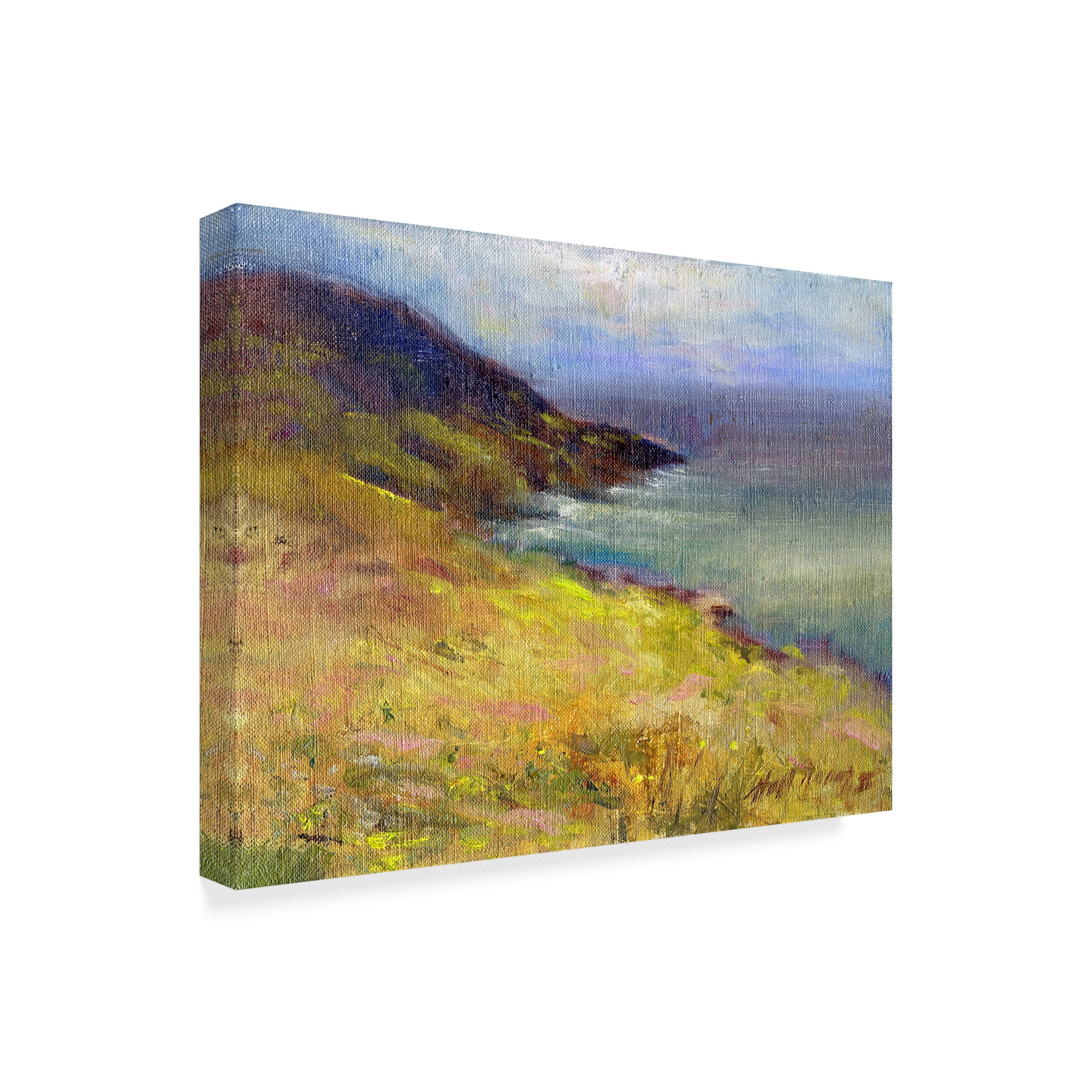 Trademark Fine Art 'Ring Of Kerry, Ireland 4' Canvas Art by Hall Groat Ii