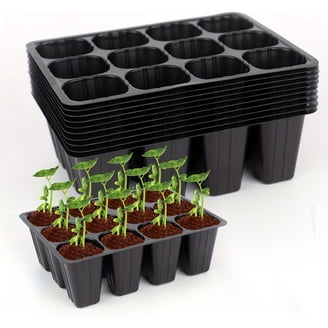 organic sunflower seeds for planting Sproutman's® Organic Sunflower Sprouting Seeds (16 oz) main image 1