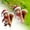 B, variant on Christmas Cute Cartoon Squirrel Ground Stake Insert Art Garden Decoration Cool Banners for Room Guys Happy Birthday Yard Signs with Name And The Warden Sign Vintage Easter Cards Book for