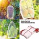 thumbnail image 1 of 50 bolsas de red, bolsa de red con cordón para proteger frutas y plantas (6 x 4 pulgadas) ZefeiWu 8390605386824, 1 of 1