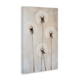 thumbnail image 3 of Stupell Industries Neutral Dandelion Illustration Canvas Wall Art, design by Petal Prints Design, 3 of 7